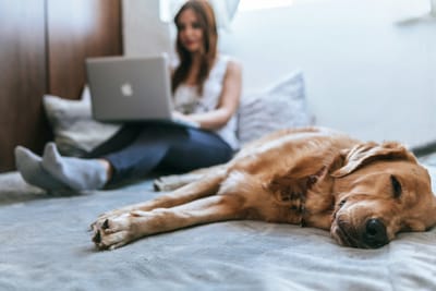 Kies bewust voor de voordelen van mindful werken